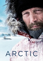 Arctic poster