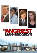 The Angriest Man in Brooklyn poster