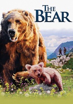 The Bear poster