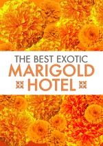 The Best Exotic Marigold Hotel poster