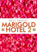 The Second Best Exotic Marigold Hotel poster