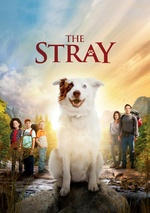 The Stray poster